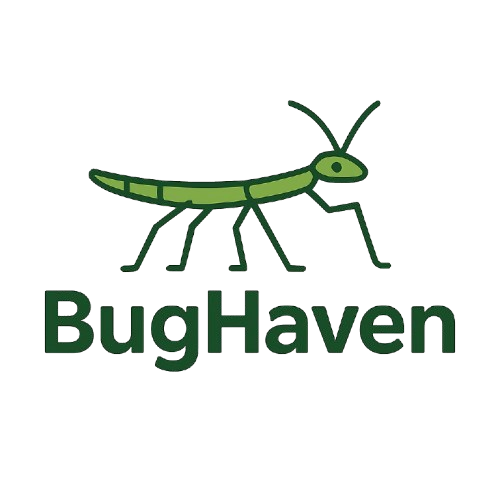 Bug Haven